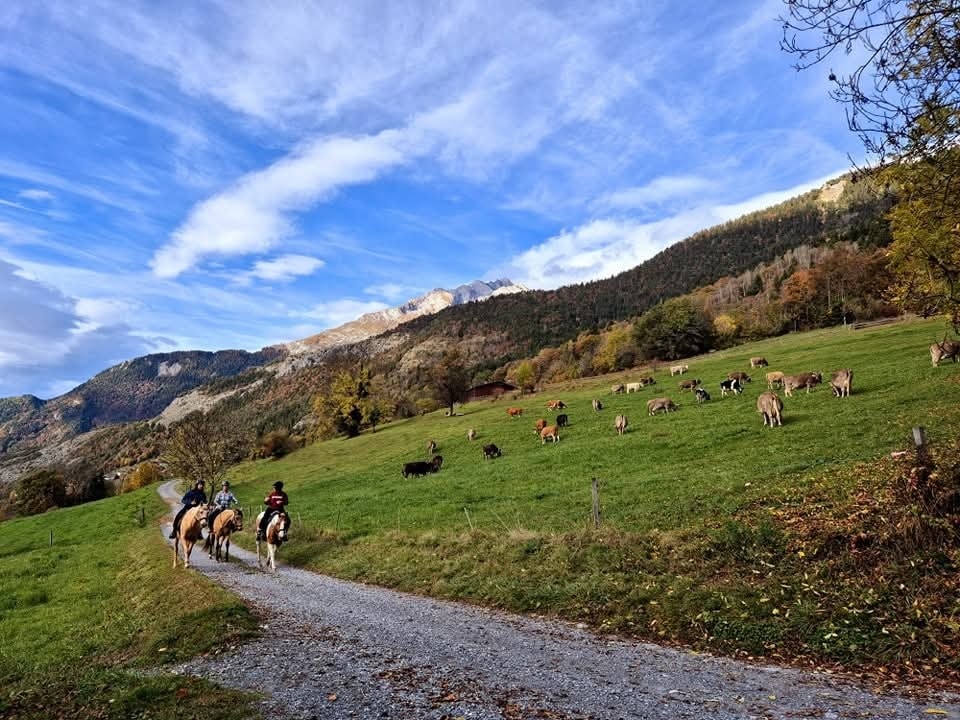 balade Mayens de Conthey